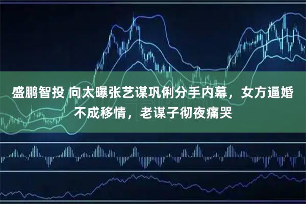 盛鹏智投 向太曝张艺谋巩俐分手内幕，女方逼婚不成移情，老谋子彻夜痛哭