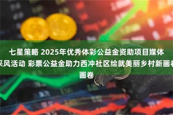 七星策略 2025年优秀体彩公益金资助项目媒体采风活动 彩票公益金助力西冲社区绘就美丽乡村新画卷