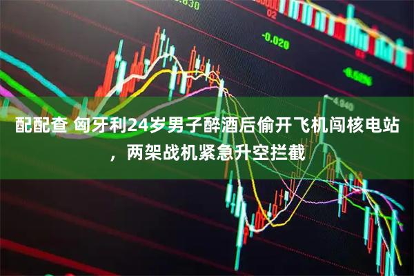 配配查 匈牙利24岁男子醉酒后偷开飞机闯核电站，两架战机紧急升空拦截